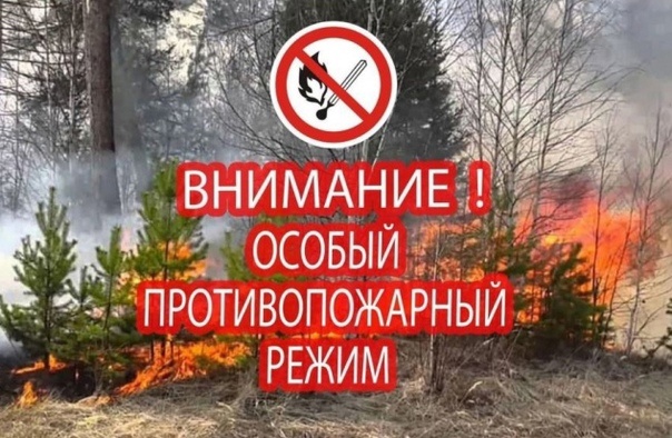Особый противопожарный режим в период с 01 апреля по 01 июля 2025 года.